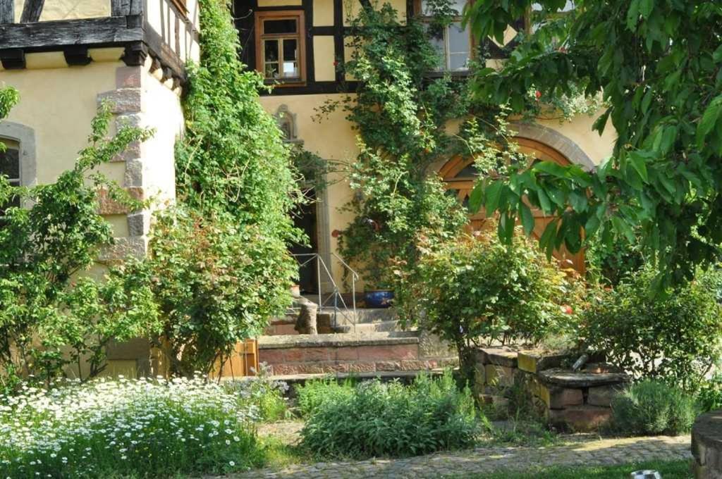 Gaestezimmer - Fuhrhalterei Maul Breuberg ภายนอก รูปภาพ