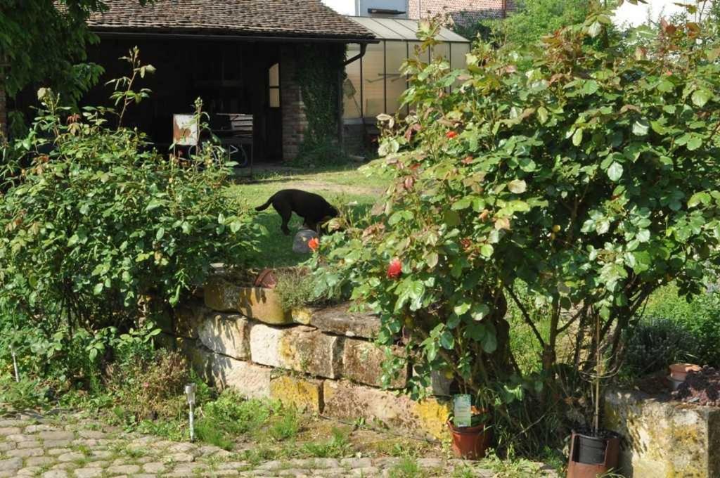 Gaestezimmer - Fuhrhalterei Maul Breuberg ภายนอก รูปภาพ