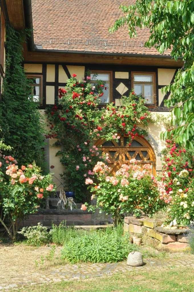 Gaestezimmer - Fuhrhalterei Maul Breuberg ภายนอก รูปภาพ