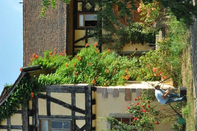 Gaestezimmer - Fuhrhalterei Maul Breuberg ภายนอก รูปภาพ