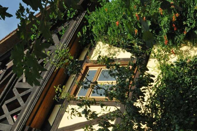 Gaestezimmer - Fuhrhalterei Maul Breuberg ภายนอก รูปภาพ