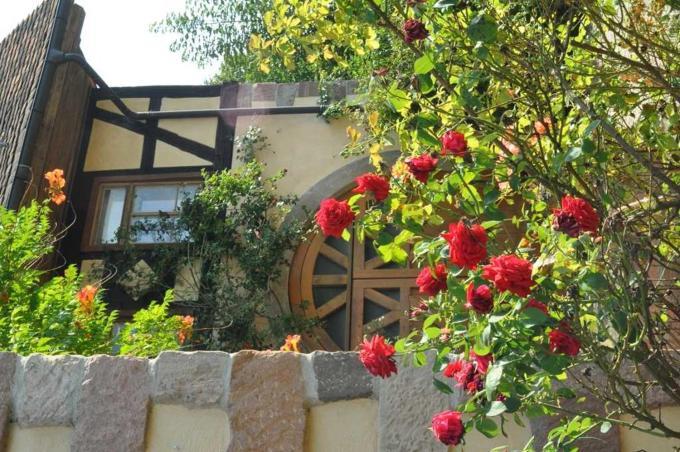 Gaestezimmer - Fuhrhalterei Maul Breuberg ภายนอก รูปภาพ